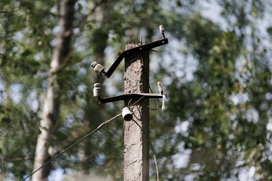Jau suskaičiavo, kiek atsieis kompensacijos be elektros likusiems vartotojams