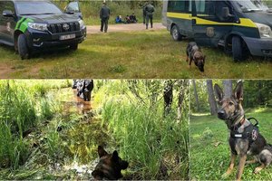 Pasieniečių kinologas ir jo dvimetis Kroftas susekė ir sulaikė tris į Latviją įsibrovusius neteisėtus migrantus