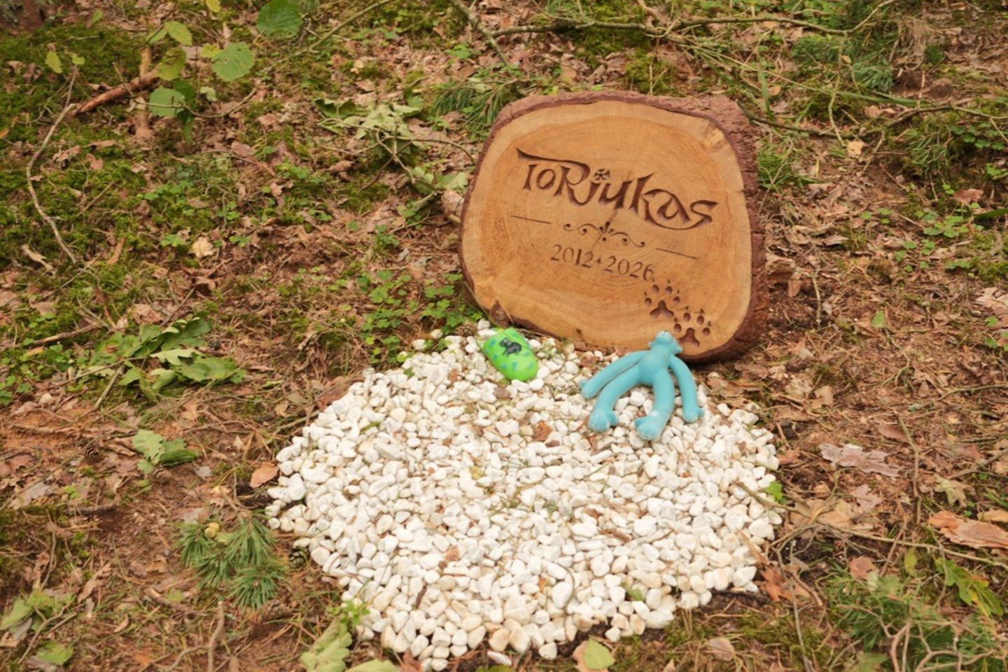 Panevėžio rajone – nelegalios gyvūnų kapinės privačiame miške.<br> V. Bieliūno/jp.lt nuotr.