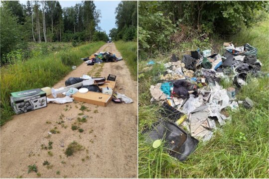 Šiukšlės apkeliavo tris rajonus, o galiausiai nugulė miške: jų šeimininkus vis tiek pavyko atsekti