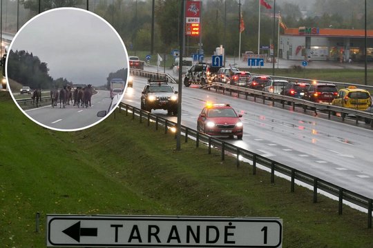 Magistralėje – stingdantis vaizdas: nelaimės pavyko išvengti vos per plauką   