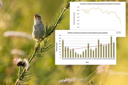 Gamtininkų pastangos atsiperka: Lietuva – vienintelė tokia šalis