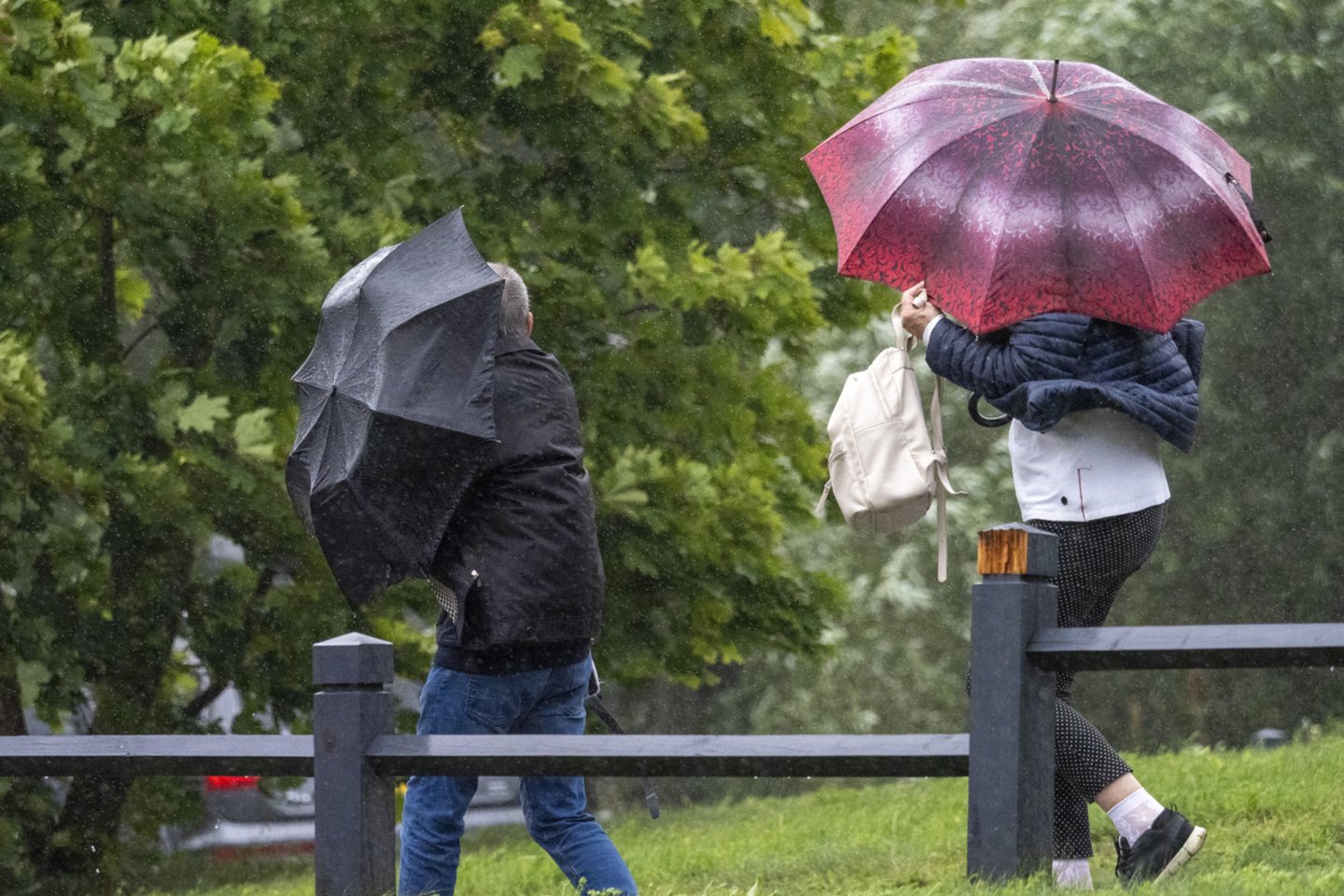 Sinoptikams ketvirtadienį perspėjus dėl artimiausių orų dienų, penktadienį galima matyti, kad geltonai nusidažė ir pavojingų reiškinių žemėlapis.<br>V.Ščiavinsko nuotr.