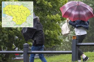 Pavojingų reiškinių žemėlapis geltonuoja: savaitgaliui – tarnybos perspėjimas dėl vėjo