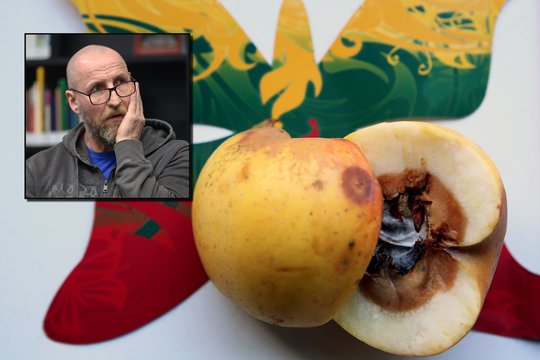 Sigitas Parulskis. Biurokratiniu skuduru per skruostą