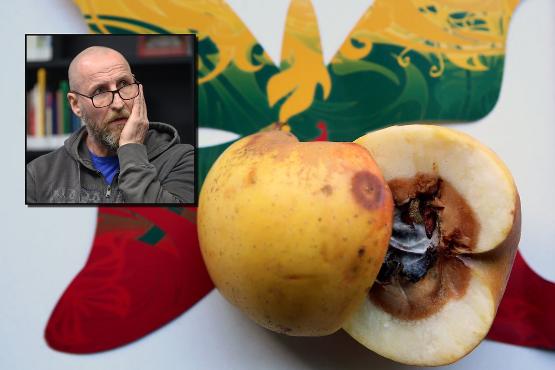 Sigitas Parulskis. Biurokratiniu skuduru per skruostą