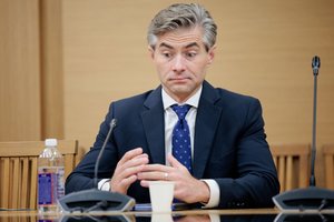 K. Budrys apie I. Vėgėlės ir R. Jankūno vizitą į Briuselį: nemanau, kad padėtų pasiekti mūsų uždavinius