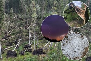 „Labai keista, kad iki šiol nebuvo padaryta jokių išvadų“: po Lietuvą šlavusių audrų – specialisto vertinimas ir įspėjimas