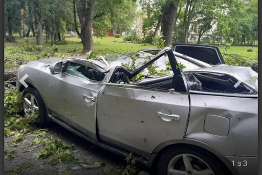 Ukrainiečių poros per audrą vos nesutraiškė medis, tačiau policijos akibrokštas visiškai apstulbino