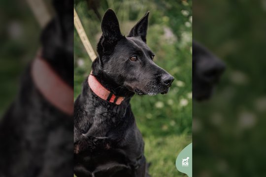 Žaisminga ir be galo meili Etna turi vieną „kabliuką“ – konkurentų ji nemėgsta