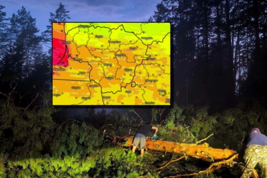 Dėl savaitgalio – svarbus meteorologo įspėjimas: kur stiprus vėjas gali pridaryti daugiausia žalos