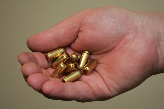 Per parą trijuose skirtingose vietose pareigūnai susirinko šimtus nelegalių šovinių, kelis ginklus