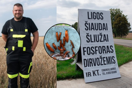 Invazinius šliužus Edmundas įveikė be chemijos: atskleidė, kas suveikė
