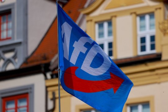 S. Malinauskas atsakė, ar „Nemuno aušra“ panaši į AfD: įsitvirtino todėl, kad buvo bandyta kovoti