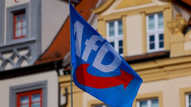 S. Malinauskas atsakė, ar „Nemuno aušra“ panaši į AfD: įsitvirtino todėl, kad buvo bandyta kovoti