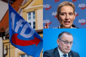 Visą Europą sudrebinusi partija „Alternatyva Vokietijai“: kas slepiasi po AfD?