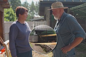 V. Radzevičiaus fermoje – nelaimė: „Įvyko žiaurus nusikaltimas su aukomis“