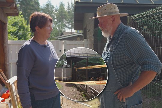 V. Radzevičiaus fermoje – nelaimė: „Įvyko žiaurus nusikaltimas su aukomis“