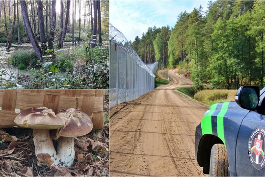 Pasieniečiai surado ir artimiesiems perdavė miške pasiklydusią garbaus amžiaus grybautoją