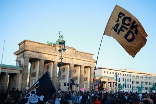 Nepasitenkinimas Vokietijoje: tūkstančiai protestavo prieš AfD