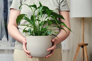 Tik šaukštelis į vandenį: ši virtuvės priemonė papildys vėzdūnę azotu