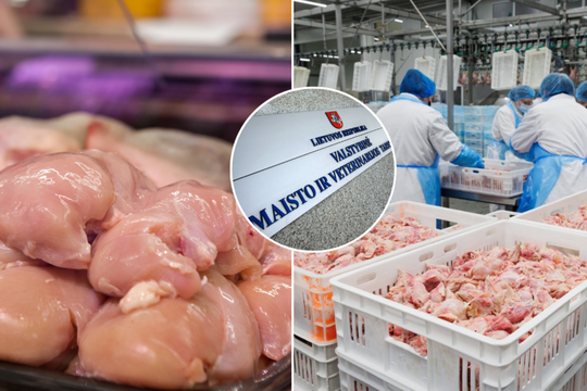 VMVT sureagavo į pranešimus apie užkrėstą maistą: tiesiai atsakė, kas už tai atsako