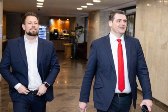 Po kratų prakalbo apie „Nemuno aušros“ problemą: partijos tikslas nebuvo vien tik politika