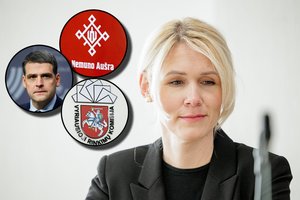 Dėl L. Matjošaitytės konsultacijų – VRK raštas „aušriečiams“: laukia partijos atsakymų