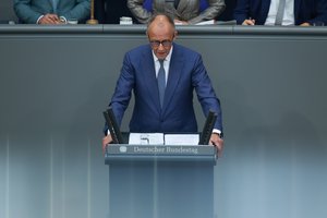F. Merzas pavadino AfD „destruktyvia jėga“
