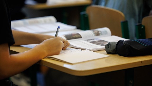 Tautinių mažumų ugdymo įstaigose siūlo pereiti prie lietuvių kalbos: kuriame paralelinę visuomenę
