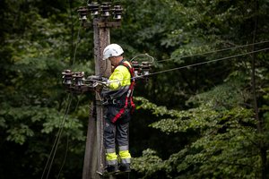 ESO skelbia, kiek klientų dėl audros vis dar yra be elektros: visi jie – viename regione