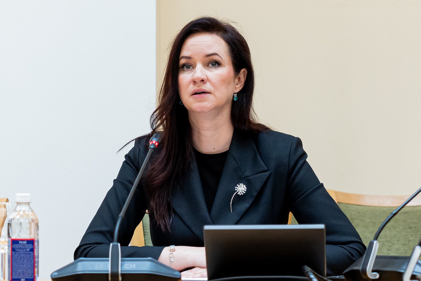 I. Ruginienė.<br>Ž. Gedvilos/ELTA nuotr.
