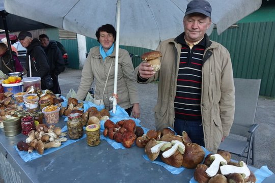 Baravykų kaina turguje atima žadą: štai, kiek prašo prekeiviai