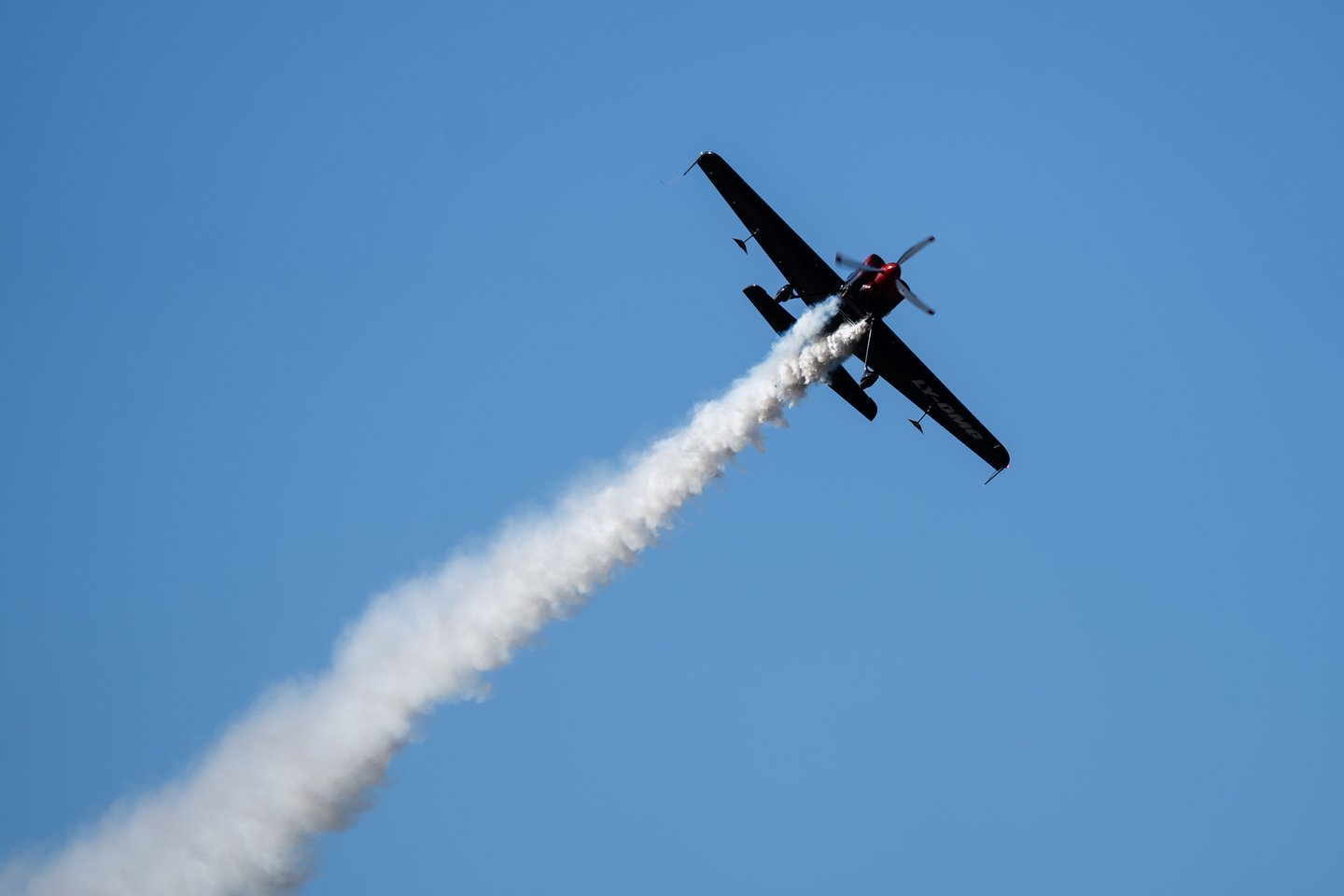 AERO NIDA 2026 renginio akimirkos<br>G. Bitvinsko nuotr.