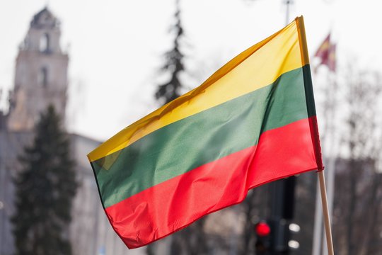 Siūlys žymiai padidinti baudas už per šventes neiškeltą valstybės vėliavą