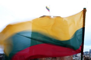 Vilniuje nulaužtas Lietuvos vėliavos kotas – areštinėje atsidūrė trys neblaivūs niekadėjai