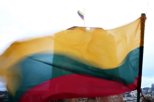 Vilniuje nulaužtas Lietuvos vėliavos kotas – areštinėje atsidūrė trys neblaivūs niekadėjai