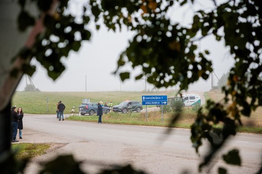 Po drono incidento – skirtingos Seimo narių reakcijos: opozicija beda pirštu į spragas