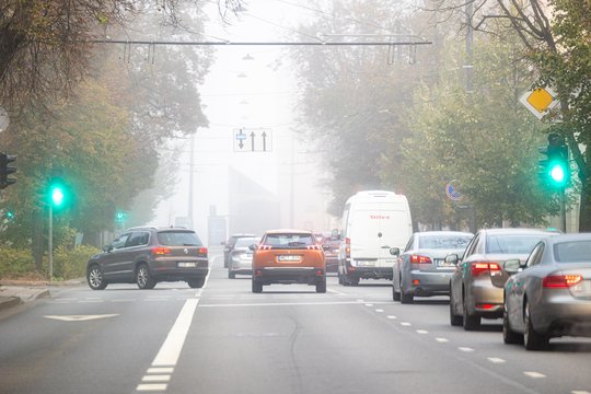 Vyraus rudeniškai šilti ir sausi orai: matomumą blogins rūkas
