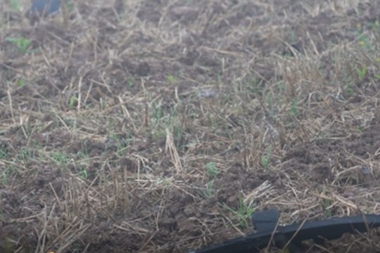 Lietuvos kariuomenė paviešino vaizdus iš laukų, kur buvo numuštas dronas