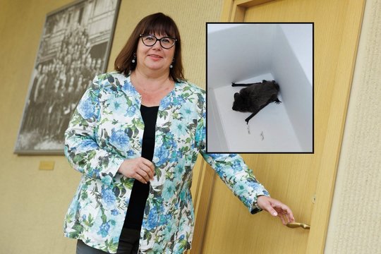 „Socdemės“ kabinete Seime – netikėtas svečias: teko kviesti specialistus