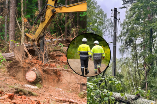 Po audros emocijos neslopsta: miškininkai įvardijo, ką nutyli energetikai – aiškėja, kodėl šie nė nesileidžia į kalbas