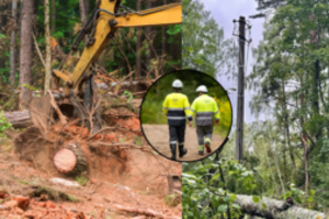 Po audros emocijos neslopsta: miškininkai įvardijo, ką nutyli energetikai – aiškėja, kodėl šie nė nesileidžia į kalbas