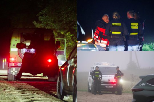 NATO naikintuvams numušus droną – naujos detalės: kas žinoma apie jo kilmę
