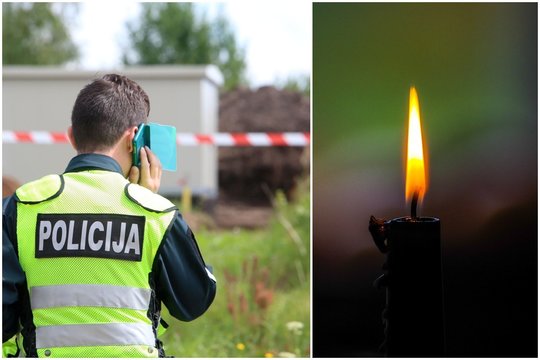 Kazlų Rūdoje pjaunamas medis mirtinai sužalojo jį pjovusį vyrą