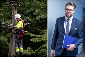 Vyriausybei bus pristatytas „audros paketas“: aiškėja, kokius darbus siektų įgyvendinti iki 2030 m.