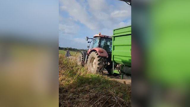 Ūkininkas parodė, kaip lietus niokoja pupų derlių ir sunkina darbus: laukai tiek įmirkę, kad įvažiuoti nebeįmanoma