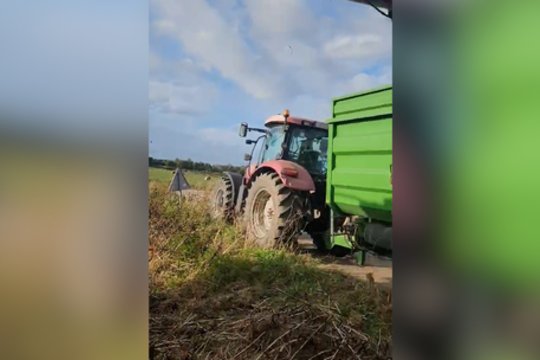 Ūkininkas parodė, kaip lietus niokoja pupų derlių ir sunkina darbus: laukai tiek įmirkę, kad įvažiuoti nebeįmanoma