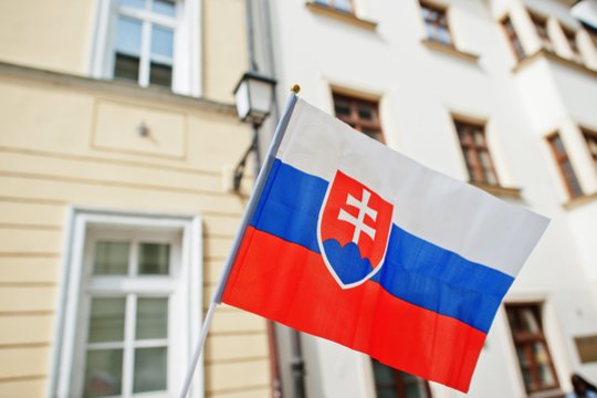 Slovakijos šaudmenų gamykloje kilo gaisras