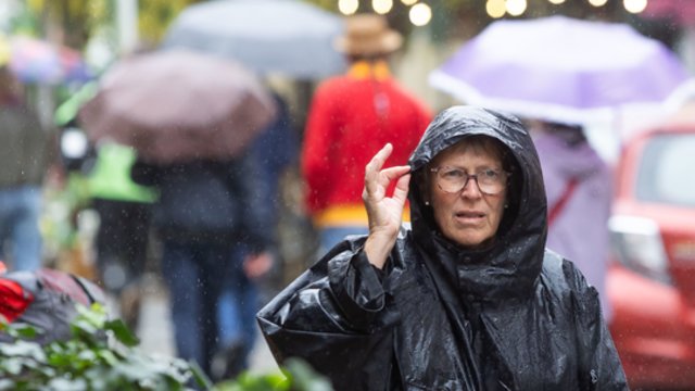 Sinoptikai įspėja – laukia drėgniausia savaitės diena: lietaus klius tiek dieną, tiek naktį